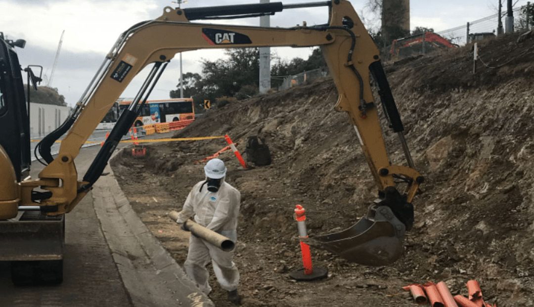 Hoddle Street Upgrade