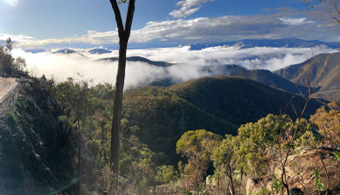 Victoria Bushfire Recovery 2020